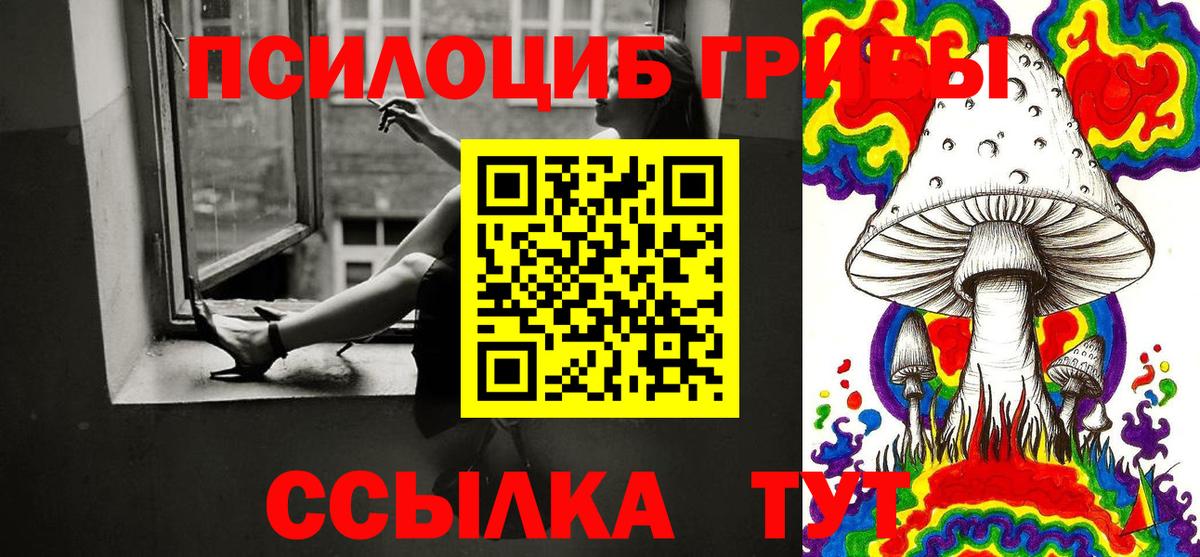 Псилоцибиновые грибы Cubensis Среднеуральск